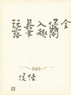 玩具入侵金银花露笔趣阁