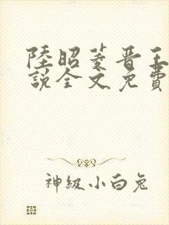 陆昭菱晋王的小说全文免费阅读