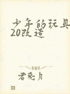 少年的玩具1一20改造