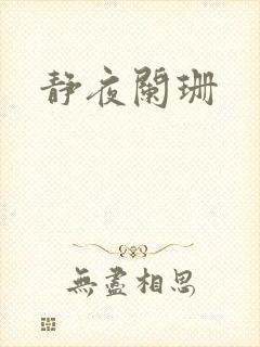 静夜阑珊