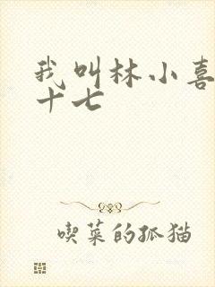我叫林小喜今年十七