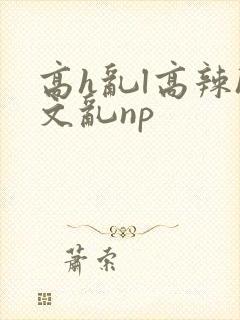高h乱l高辣h文乱np