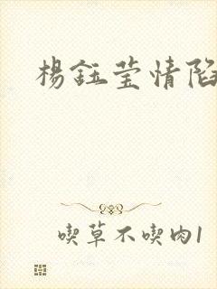 杨钰莹情陷红楼封面