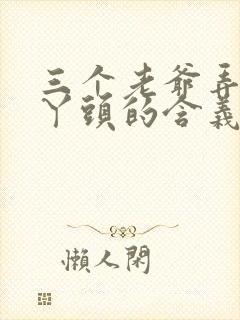 三个老爷弄一个丫头的含义封面