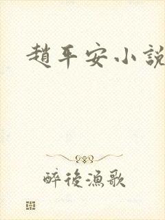 赵平安小说主角