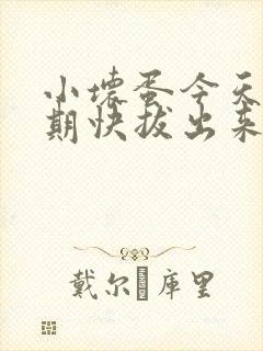 小坏蛋今天危险期快拔出来封面