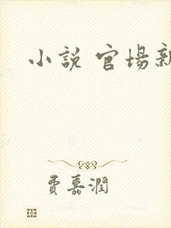 小说 官场新贵封面