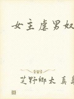 女主虐男奴封面