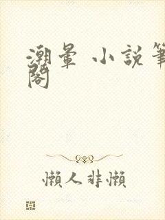 潮晕 小说笔趣阁