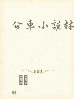 公车小说林蔓蔓