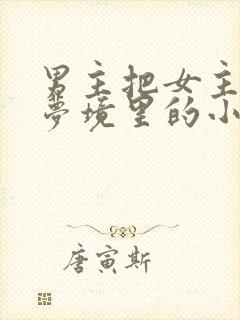 男主把女主拖进梦境里的小说