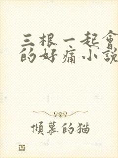 三根一起会坏掉的好痛小说封面