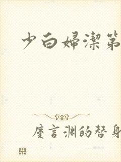 少白妇洁第二部封面