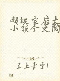 超级家庭大杂烩小说全文阅读封面