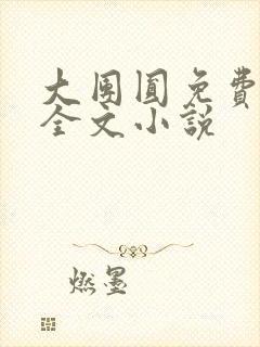 大团圆免费阅读全文小说