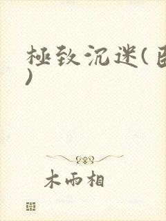 极致沉迷(臣年)