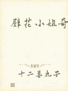 壁花小姐奇遇记封面