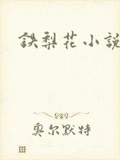 铁梨花小说