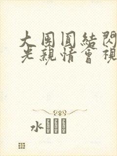 大团圆结闪闪发光亲情会视频