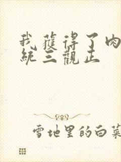 我获得了肉禽系统三观正