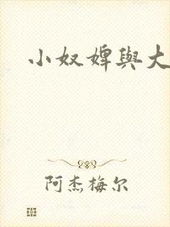 小奴婢与大少爷