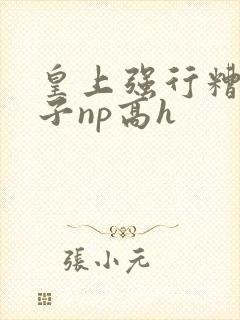 皇上强行糟蹋太子np高h