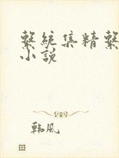 系统集精系统 小说封面