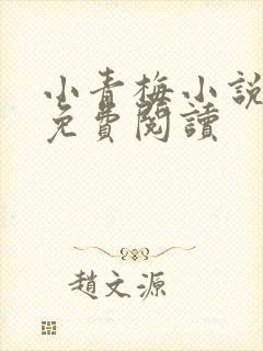 小青梅小说全文免费阅读封面