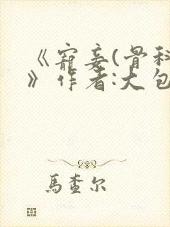 《宠妾(骨科)》作者:大包子