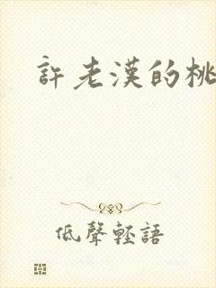 许老汉的桃花运封面