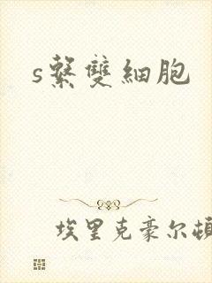 s系双细胞