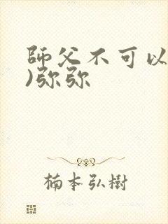 师父不可以(限)弥弥封面