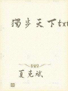 独步天下txt
