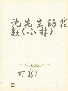 沈先生的花式调数(小非)