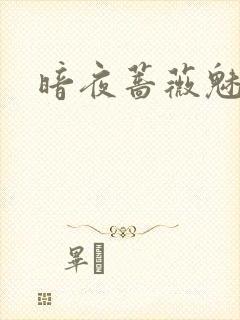 暗夜蔷薇魅