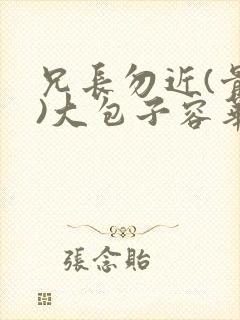 兄长勿近(骨科)大包子容华