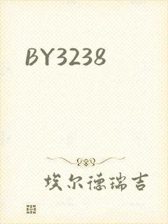 BY3238