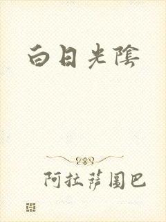 白日光阴封面