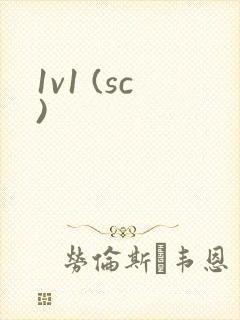 1v1 (sc)封面