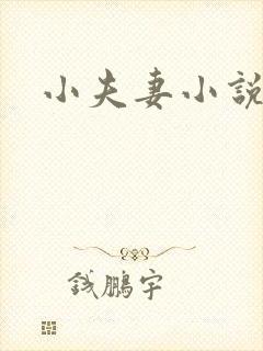 小夫妻小说封面