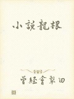小说龙根
