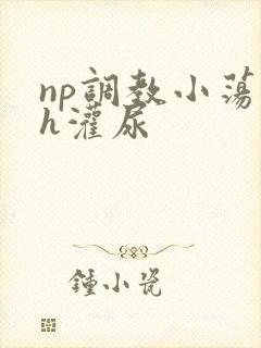 np调教小荡货h灌尿封面