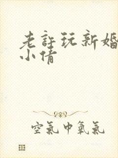 老许玩新婚少妇小倩