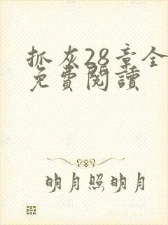 抓灰28章全部免费阅读