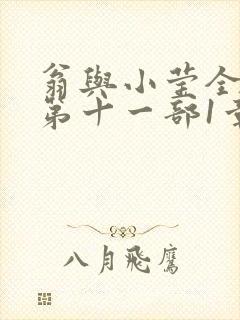 翁与小莹全目录第十一部1章