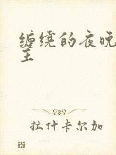 缠绕的夜晚双男主