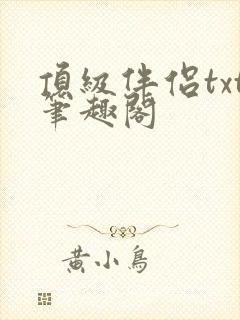 顶级伴侣txt笔趣阁