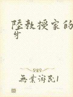 陆教授家的小月牙