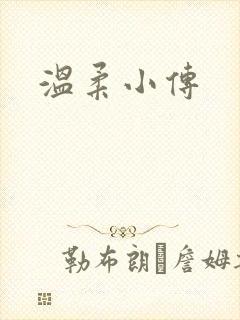 温柔小传