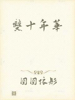 双十年华封面